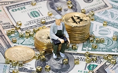1月14日起 泉金客运航线每天增加到4航
